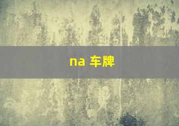 na 车牌